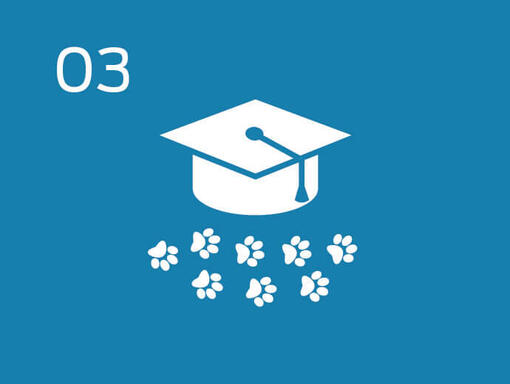 Promote responsible pet ownership programmes