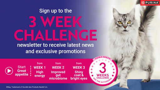 Sign up to the 3 Week Challenge newsletter to receive latest news and exclusive promotions