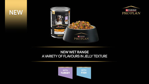 New wet range a variety of flavours in jelly texutre