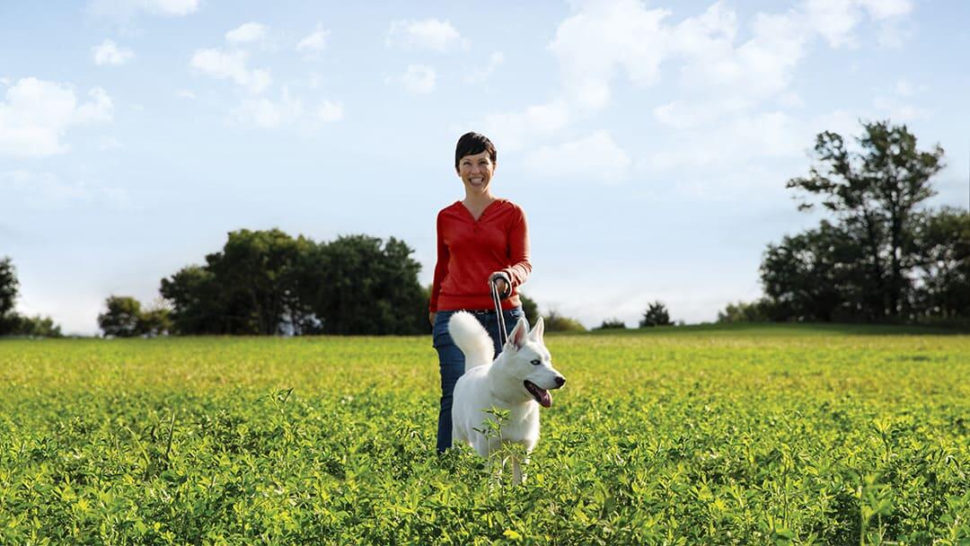 Find Your Perfect Countryside Dog or Farm Dog Breed