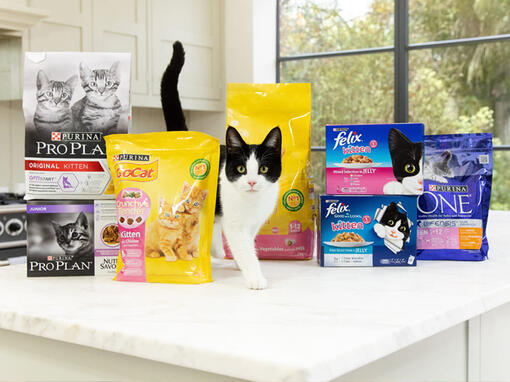 Cat products