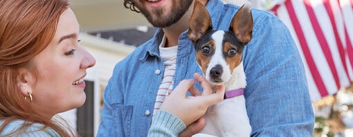 Small Dogs for Families with Kids: The Best Breeds for Your Home