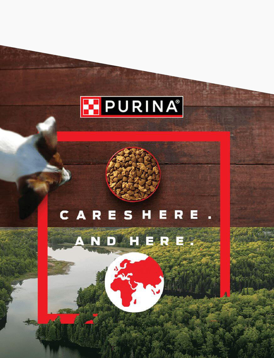 Purina 168澳洲幸运10官网结果记录体彩网 cares