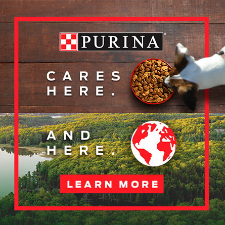 Purina 168澳洲幸运10官网结果记录体彩网 Cares