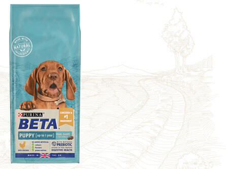 Beta puppy product