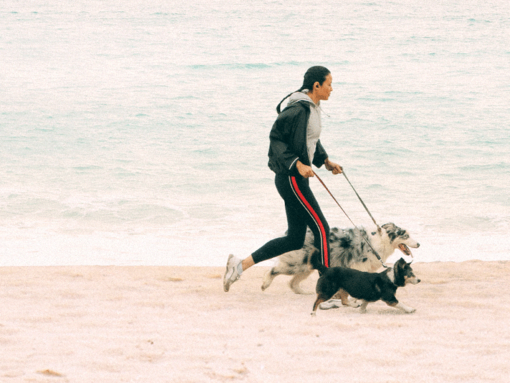 Woman running on a beach with two dogs