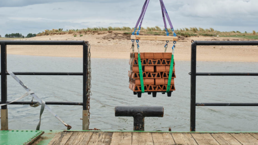 Oyster heaven mother reef