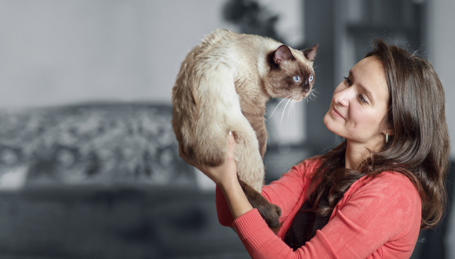 A woman looking at her cat's face whilst holding it up in the air
