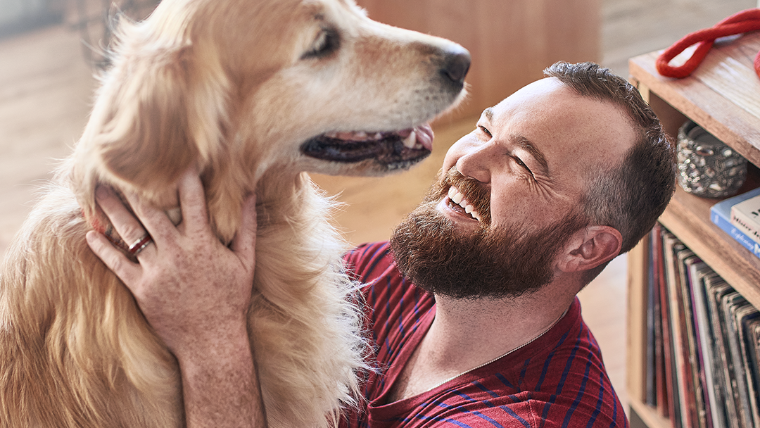 National Pet Day man hugging his golden retriever pet dog