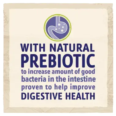 BETA® Sensitive Salmon Dry Dog Food