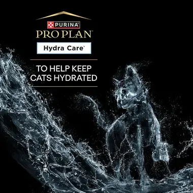 Pro Plan Hydra Care to help keep cats hydrated