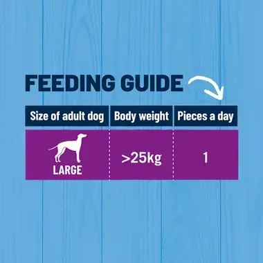 Feeding guide
