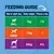 Feeding guide