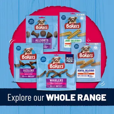 Explore our whole range