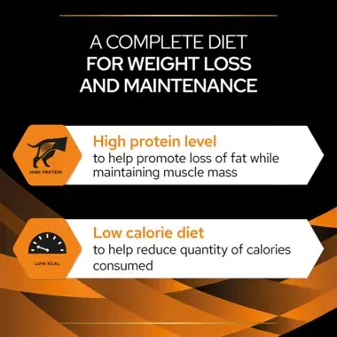 A complete diet for weight loss and maintenance