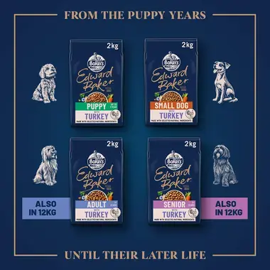 From the puppy years until their later life