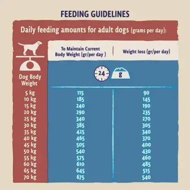 Feeding guidelines