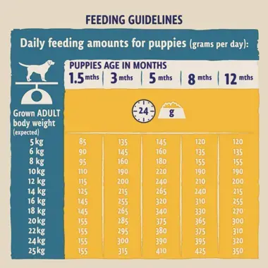 Feeding guidelines