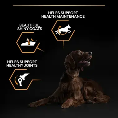 Helps support health maintenance, shiny coats, healthy joints