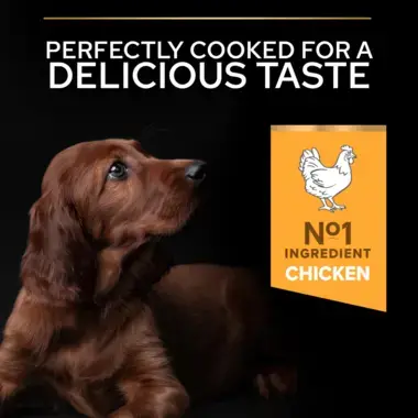 Perfectly cooked for a delicious taste