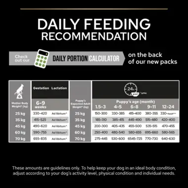 Daily feeding recommendation