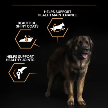 Helps support health maintenance, shiny coats, healthy joints