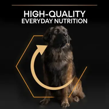 High quality everyday nutrition