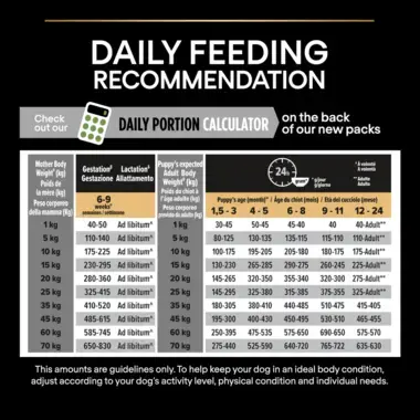 Daily feeding recommendation