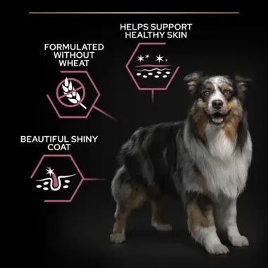 Support healthy skin, without wheat, shiny coat