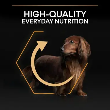 High quality everyday nutrition