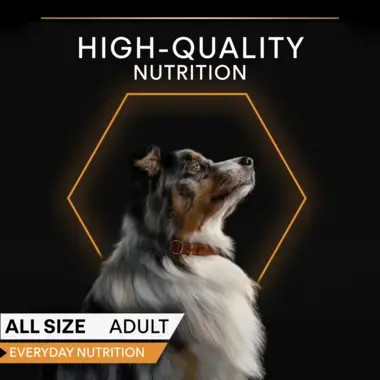 High-quality nutrition