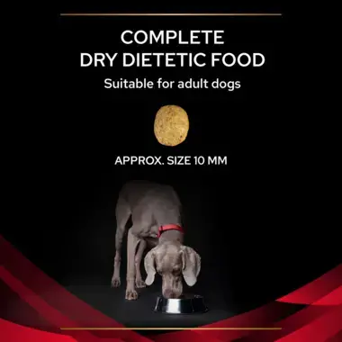 PRO PLAN® VETERINARY DIETS DM Diabetes Management Dry Dog Food