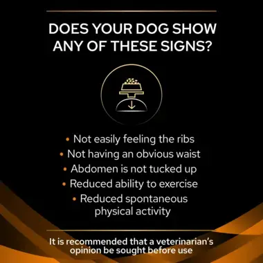 PRO PLAN® VETERINARY DIETS OM Obesity Management Dry Dog Food