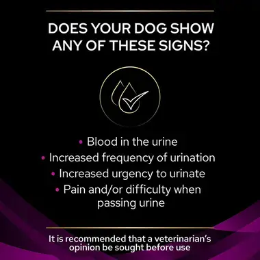 PRO PLAN® VETERINARY DIETS UR Urinary Dry Dog Food