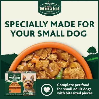 Specially made for your small dog