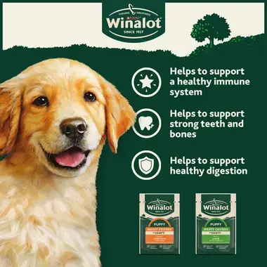 Helps to support a healthy immune system, strong teeth and bones with high quality ingredients