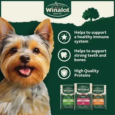 Helps to support a healthy immune system, strong teeth and bones with high quality ingredients